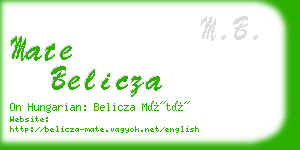 mate belicza business card